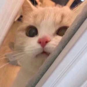 欧美Guangbang双渗透
