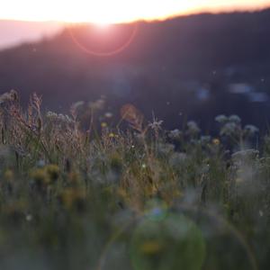 欧美Guangbang双渗透
